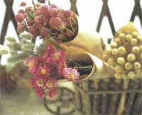 �t�����[�E�u���C�_���u�[�P�E�A�����W�����g���b�X���E�E�F�f�B���O�E��ꑕ�� �E�~���t���[���E�t�����[�f�U�C��