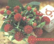 �t�����[�E�u���C�_���u�[�P�E�A�����W�����g���b�X���E�E�F�f�B���O�E��ꑕ�� �E�~���t���[���E�t�����[�f�U�C��