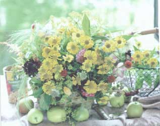 �t�����[�E�u���C�_���u�[�P�E�A�����W�����g���b�X���E�E�F�f�B���O�E��ꑕ�� �E�~���t���[���E�t�����[�f�U�C��