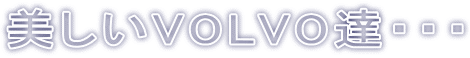 美しいVOLVO達・・・