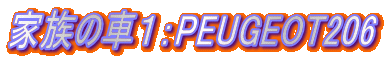 �Ƒ��̎ԂP�FPEUGEOT206